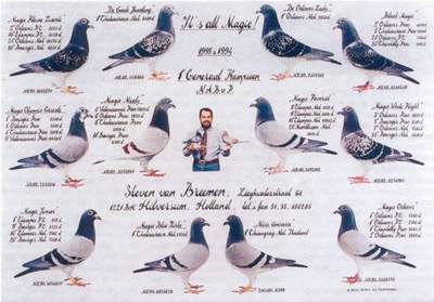 1993-1994-1996 Generaal kampioen NABvP